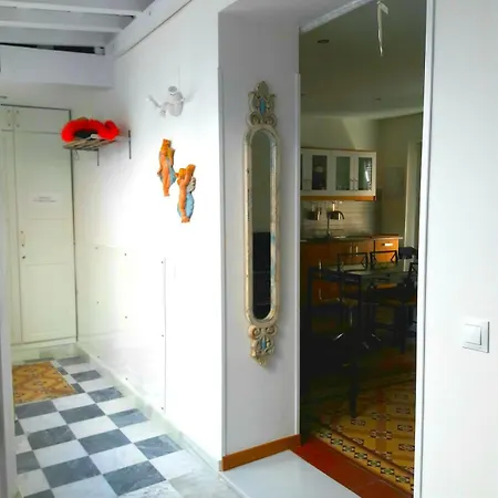 Luminoso Y Grande En El Centro De Apartamento